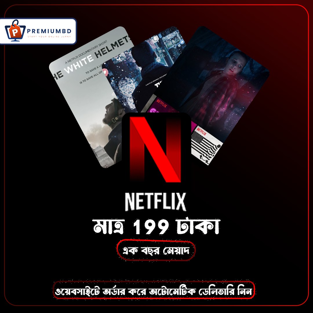 NETFLIX - Premium - 1 Year